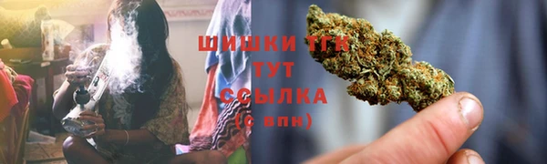 прущие крисы Нефтекумск