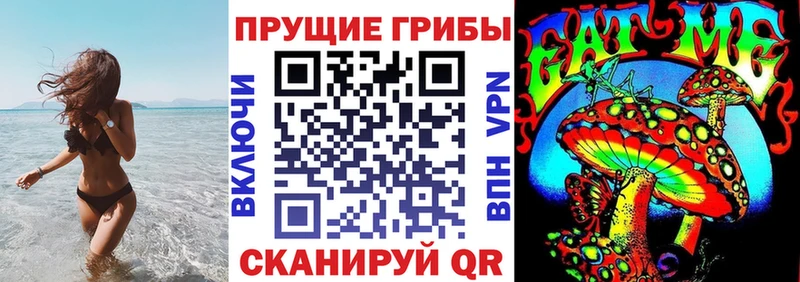 KRAKEN сайт  Чусовой  Галлюциногенные грибы Psilocybe 