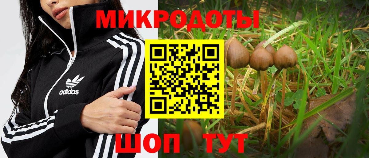 Галлюциногенные грибы ЛСД  Вход с VPN  Чусовой 