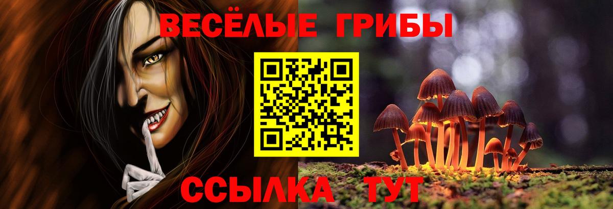 Галлюциногенные грибы MAGIC MUSHROOMS Чусовой